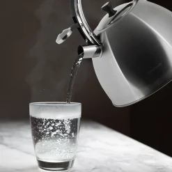 Stalowy czajnik tradycyjny z gwizdkiem na gaz indukcje 4,5L